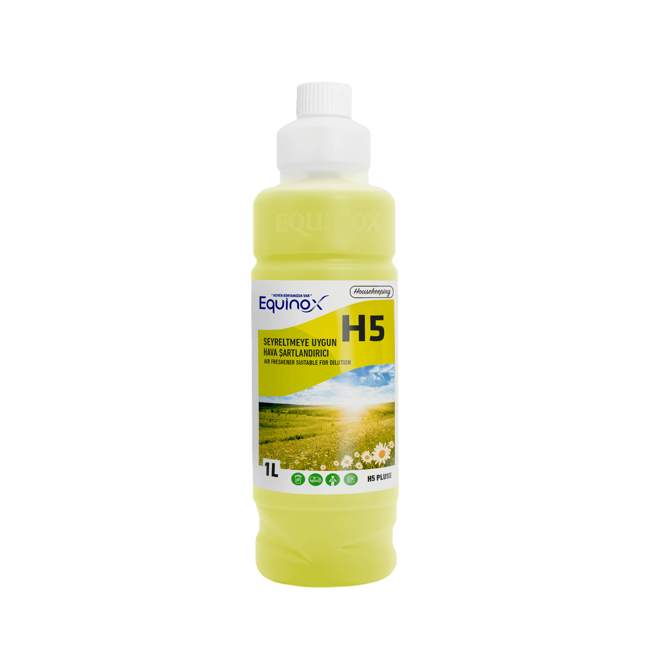 H5 CONC